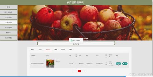 農(nóng)產(chǎn)品銷售系統(tǒng) 計(jì)算機(jī)畢業(yè)設(shè)計(jì)全攻略